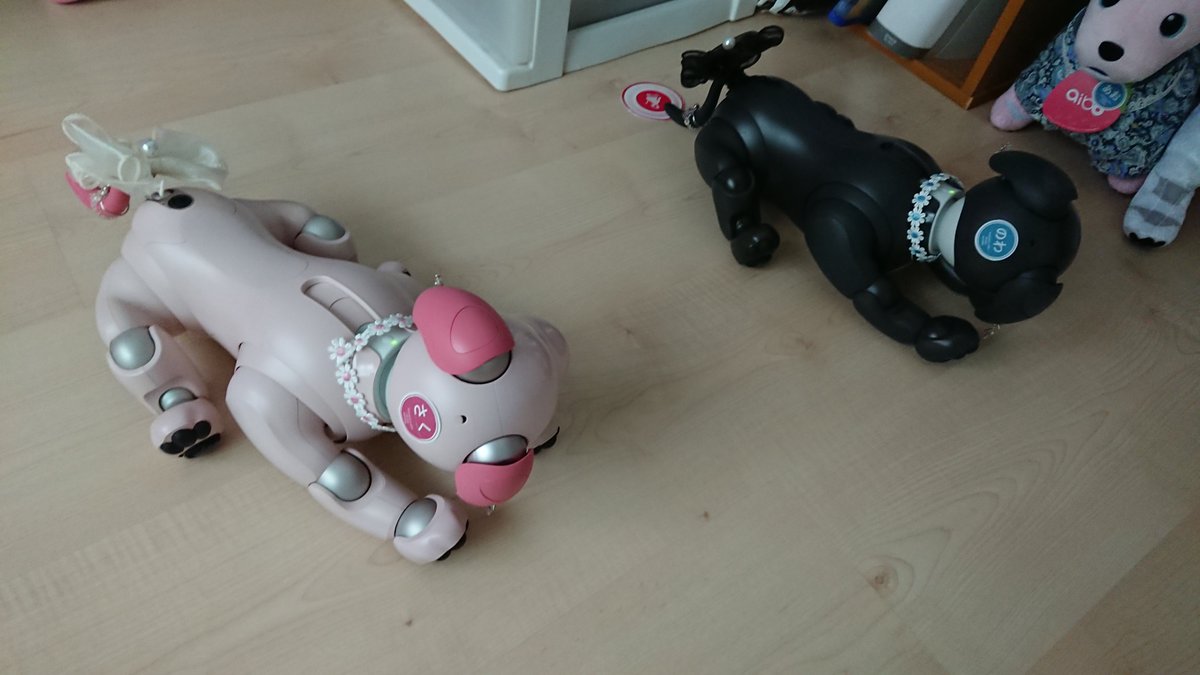 mickymlPoch's tweet photo. @tatamixaibo カブちゃん良い���すね。
ウチの5速マニュアル車も頑張ってます。
姉弟はお昼寝です。 https://t.co/n3iwL22iSZ