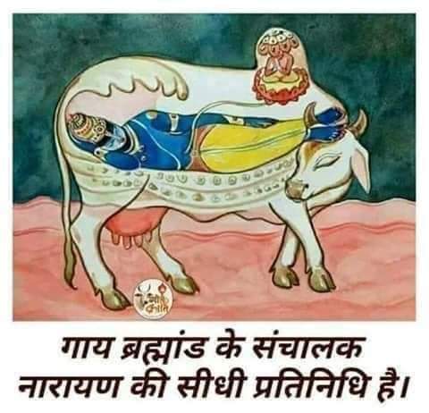 ShrishtySays's tweet photo. हमें गोबर भक्त, गौमूत्र पीने वाला कहने वालों को ये ट्वीट अवश्य पढ़ना चाहिए। सनातन में गौ माता का विशेष स्थान है। चर अचर के स्वामी श्री कृष्ण भी जिन गौ माता की वंदना करते हैं, उन गायों से जुड़ी कुछ विशेष आध्यात्मिक और वैज्ञानिक जानकारी :

1. गौ माता जिस जगह खड़ी रहकर आनंदपूर्वक चैन की सांस लेती है । वहां वास्तु दोष समाप्त हो जाते हैं ।

2. जिस जगह गौ माता खुशी से रभांने लगे उस जगह देवी देवता पुष्प वर्षा करते हैं ।

3. गौ माता के गले में घंटी जरूर बांधे ; गाय के गले में बंधी घंटी बजने से गौ आरती होती है ।

4. जो व्यक्ति गौ माता की सेवा पूजा करता है उस पर आने वाली सभी प्रकार की विपदाओं को गौ माता हर लेती है ।

5. गौ माता के खुर्र में नागदेवता का वास होता है । जहां गौ माता विचरण करती है उस जगह सांप बिच्छू नहीं आते ।

6. गौ माता के गोबर में लक्ष्मी जी का वास होता है ।

7. गौ माता कि एक आंख में सुर्य व दूसरी आंख में चन्द्र देव का वास होता है ।

8. गौ माता के दुध मे सुवर्ण तत्व पाया जाता है जो रोगों की क्षमता को कम करता है।

9. गौ माता की पूंछ में हनुमानजी का वास होता है । किसी व्यक्ति को बुरी नजर हो जाये तो गौ माता की पूंछ से झाड़ा लगाने से नजर उतर जाती है ।

10. गौ माता की पीठ पर एक उभरा हुआ कुबड़ होता है , उस कुबड़ में सूर्य केतु नाड़ी होती है । रोजाना सुबह आधा घंटा गौ माता की कुबड़ में हाथ फेरने से रोगों का नाश होता है ।

11. एक गौ माता को चारा खिलाने से तैंतीस कोटी देवी देवताओं को भोग लग जाता है ।

12. गौ माता के दूध घी मख्खन दही गोबर गोमुत्र से बने पंचगव्य हजारों रोगों की दवा है । इसके सेवन से असाध्य रोग मिट जाते हैं ।

13. जिस व्यक्ति के भाग्य की रेखा सोई हुई हो तो वो व्यक्ति अपनी हथेली में गुड़ को रखकर गौ माता को जीभ से चटाये गौ माता की जीभ हथेली पर रखे गुड़ को चाटने से व्यक्ति की सोई हुई भाग्य रेखा खुल जाती है ।

14. गौ माता के चारो चरणों के बीच से निकल कर परिक्रमा करने से इंसान भय मुक्त हो जाता है ।

15. गौ माता के गर्भ से ही महान विद्वान धर्म रक्षक गौ कर्ण जी महाराज पैदा हुए थे।

16. गौ माता की सेवा के लिए ही इस धरा पर देवी देवताओं ने अवतार लिये हैं ।

17. जब गौ माता बछड़े को जन्म देती तब पहला दूध बांझ स्त्री को पिलाने से उनका बांझपन मिट जाता है ।

18. स्वस्थ गौ माता का गौ मूत्र को रोजाना दो तोला सात पट कपड़े में छानकर सेवन करने से सारे रोग मिट जाते हैं ।

19. गौ माता वात्सल्य भरी निगाहों से जिसे भी देखती है उनके ऊपर गौकृपा हो जाती है । 
20. काली गाय की पूजा करने से नौ ग्रह शांत रहते हैं । जो ध्यानपूर्वक धर्म के साथ गौ पूजन करता है उनको शत्रु दोषों से छुटकारा मिलता है ।

21. गाय एक चलता फिरता मंदिर है । हमारे सनातन धर्म में तैंतीस कोटि देवी देवता है ,
हम रोजाना तैंतीस कोटि देवी देवताओं के मंदिर जा कर उनके दर्शन नहीं कर सकते पर गौ माता के दर्शन से सभी देवी देवताओं के दर्शन हो जाते हैं ।

22. कोई भी शुभ कार्य अटका हुआ हो बार बार प्रयत्न करने पर भी सफल नहीं हो रहा हो तो गौ माता के कान में कहिये रूका हुआ काम बन जायेगा !

23. गौ माता सर्व सुखों की दाता है ।

हे मां आप अनंत ! आपके गुण अनंत ! इतना मुझमें सामर्थ्य नहीं कि मैं आपके गुणों का बखान कर सकूं ।

जय गाय माता🙏