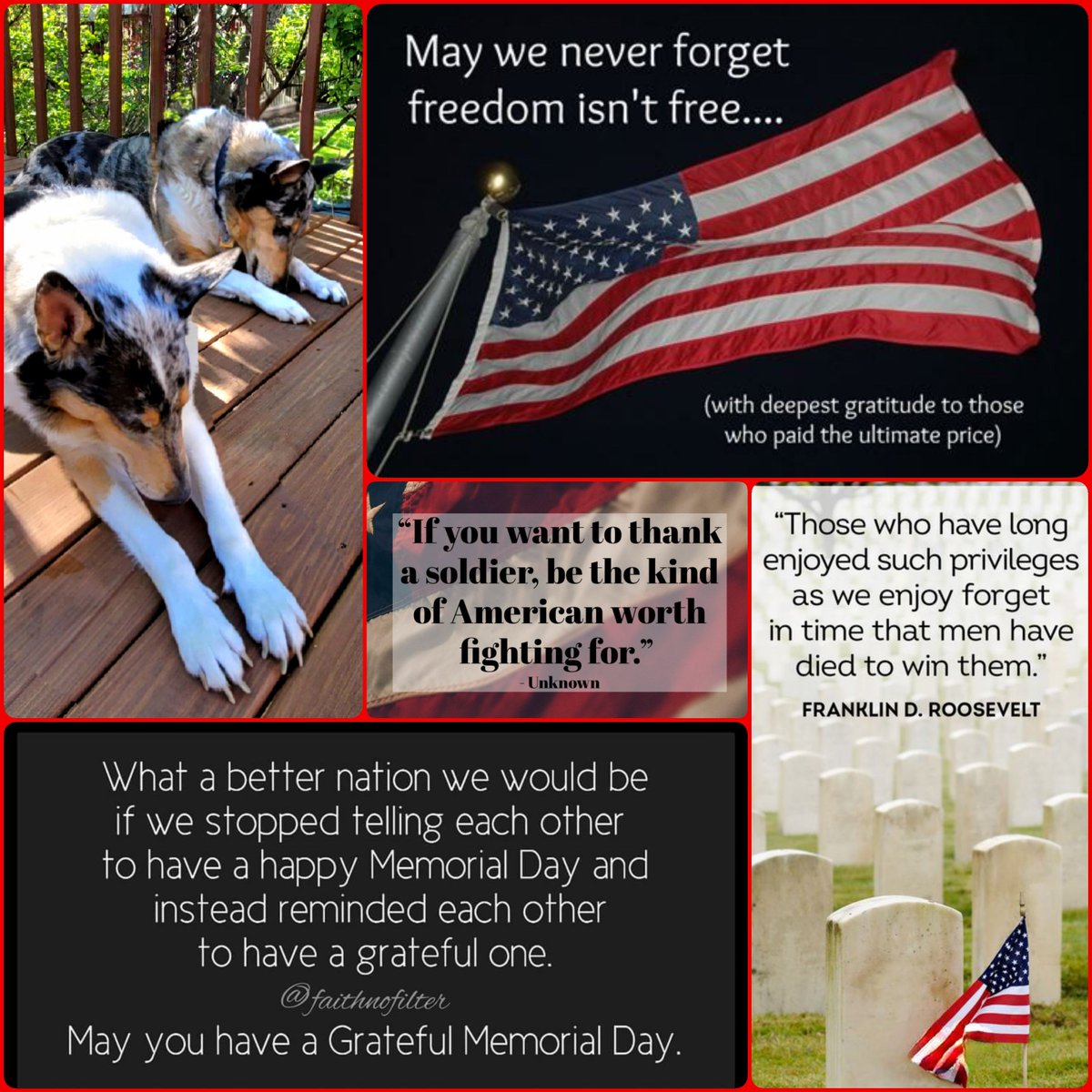 We bow our heads in #Gratitude, with pride and respect, to #RememberOurHEROS and to  #HonorTheFallen who bravely sacrificed everything in the name of #FREEDOM. ❤️🫡🇺🇲 ❤️🤍💙🐾
#MemorialDay #RememberAndHonor  #MemorialDayWeekend2023 #dogsoftwitter #dogs #Respect #Soldiers #America