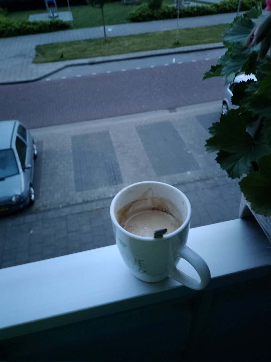 daar sta je dan op je vrije dag om 05.00 uur op het balkon met een kop koffie
Omdat je niet kan slapen pfff