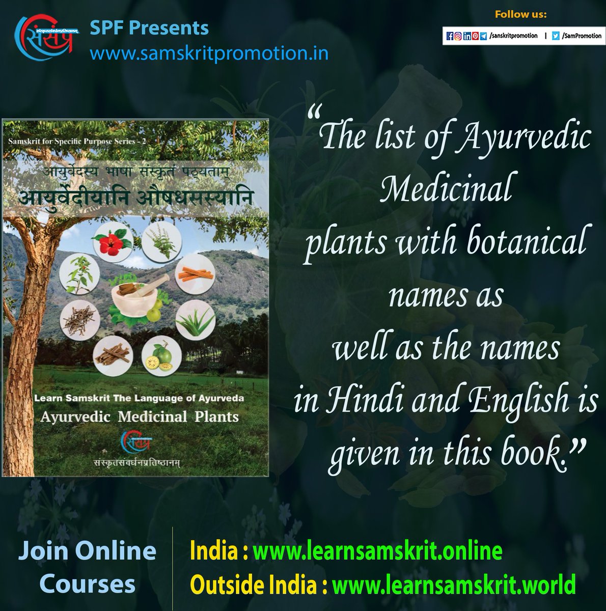 In this book you will study the properties of some Ayurvedic medicinal plants.

Enroll - bit.ly/3VOvOcU
Buy - bit.ly/3Mo0qwc

#learnsanskrit #onlinesanskrit #studysanskrit #Onlinesanskritclasses #onlinesanskritcertificate