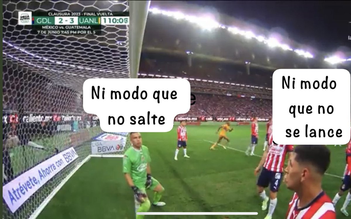 Felicidades a <a href="/TigresOficial/">Club Tigres 🐯</a> 
Muchas gracias ilusionarnos una vez más y por el gran torneo <a href="/Chivas/">CHIVAS</a> 

Pero váyanse alv <a href="/TUDNMEX/">TUDN MEX</a> y <a href="/AztecaDeportes/">TV Azteca Deportes</a> por poner 5 PUTOS ANUNCIOS POR MINUTO. Qué horrible ver el fútbol con ustedes. 🖕🏾