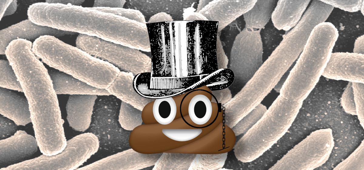 doctorow's tweet photo. It's been ten years - to the day! - since I first started writing about the bizarre, amazing world of turd transplants, in which a sick person receives a microbiotic infusion in the form of some processed poop from a healthy person:

https://t.co/AGzeH5G3Go

1/ https://t.co/43YHDnoy0e