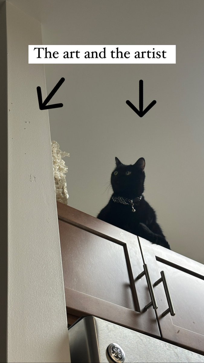 MissMacyyMarie's tweet photo. RIP to my security deposit https://t.co/JNEMlZsspQ
