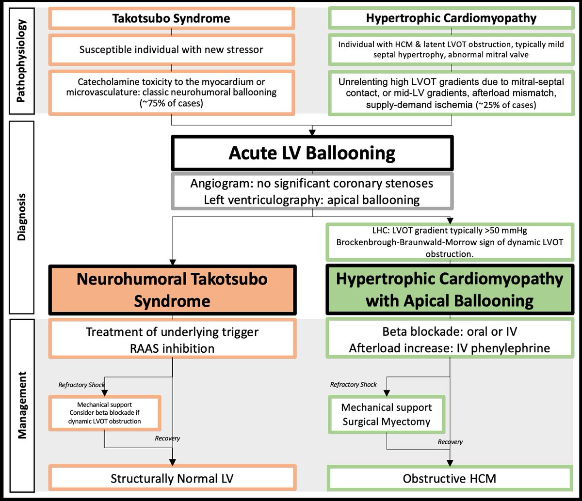 Reviews in Cardiovascular Medicine tweet media