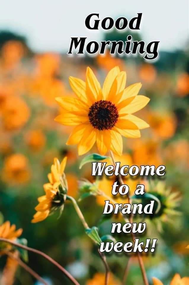 "There are two days in life when you can't do anything, yesterday and tomorrow."  Take care of yourselves and each other!🌺🫂☺️