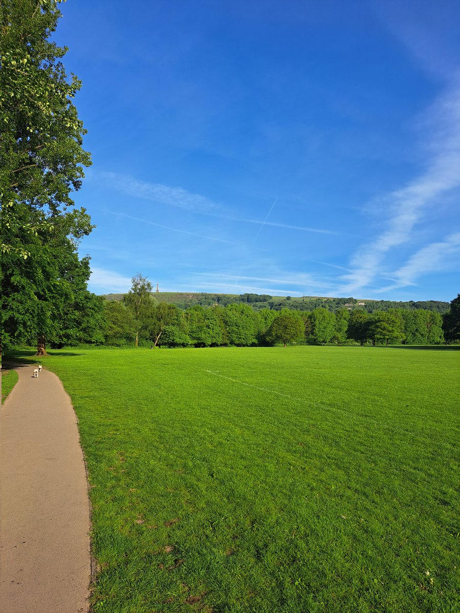 William Broadbent tweet media