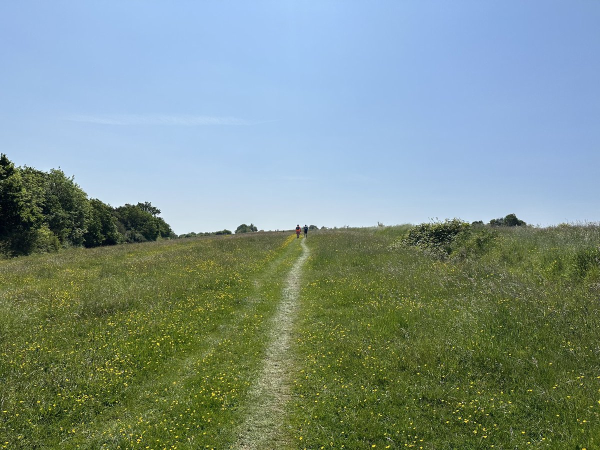 As we were walking London to Brighton, we did part of the #LondonLoop. I had to ask someone if we had crossed the M25 yet as I was so surprised how green and peaceful the area was. I’ll definitely be back to do more!