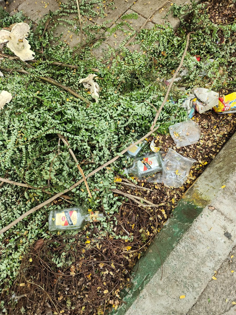 Arbinder Singal tweet media