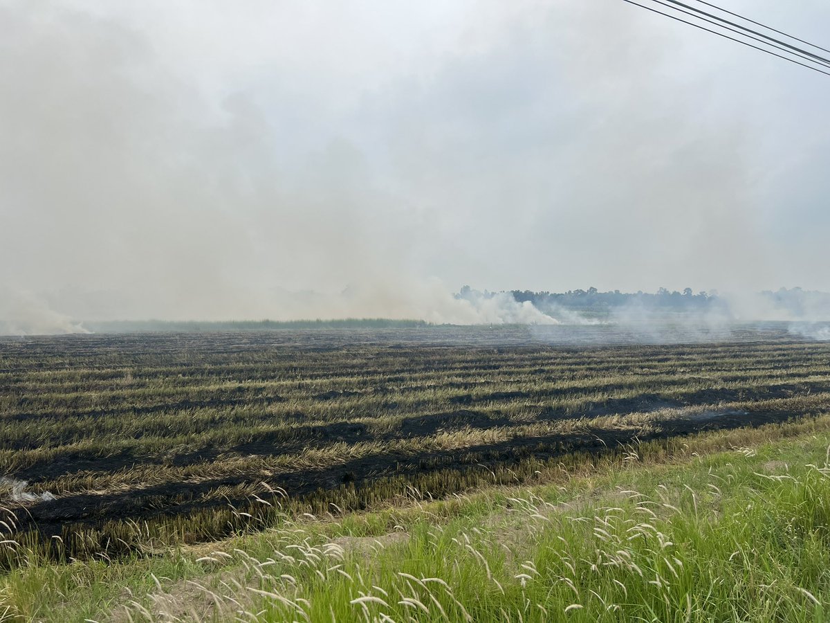 Umeshbkk's tweet photo. While we all profess about how burning rice fields creates pollution (PM2.5) in rural parts of Thailand, here is an example of fields being burnt right next-door to Bangkok in Pathumthani Klong 11. It is happening right now 😱
#Thailand #pollution #pm25 #burningfields #Bangkok https://t.co/Lz2fSrse79