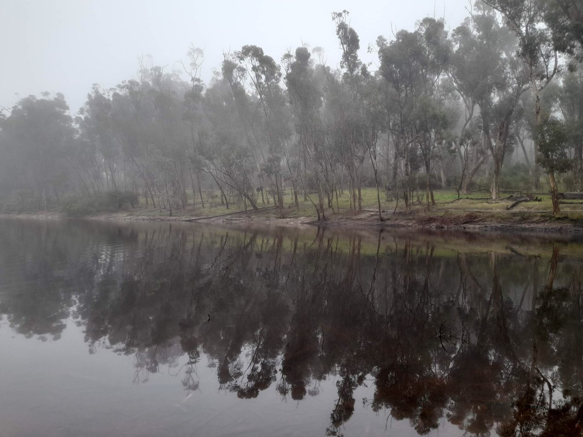 It has been a grey and foggy start to the working week, especially at Belair National Park where 7NEWS viewer Rachel Fisher captured this view. Send your weather videos and photos to 7NEWS: m.me/7NEWSAdelaide <a href="/AmeliaMulcahy7/">Amelia Mulcahy</a> has the latest forecast in 7NEWS at 6pm. #7NEWS