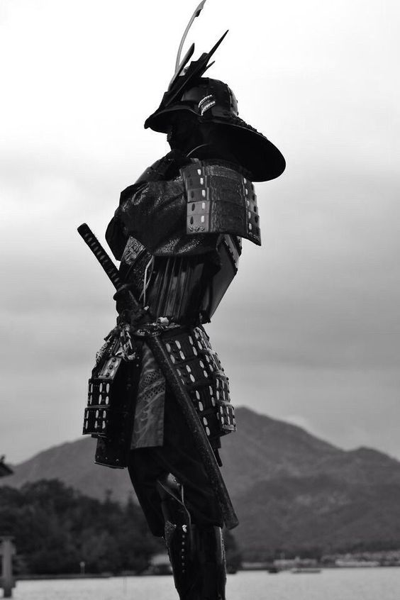 CryptoSatoshi95's tweet photo. Discipline. https://t.co/qZxih1atX0