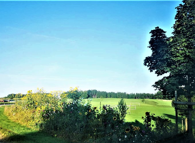 Greenisamissio1's tweet photo. In such places, nature not only enchants with its beauty, but is also an invitation to bees, bumblebees and insects to provide themselves with food and thus contribute to biodiversity. #SafeTheBees #beekeepers
We need more places like this💚🌲🌳🌱💚🐝 https://t.co/eD6y3B66FD