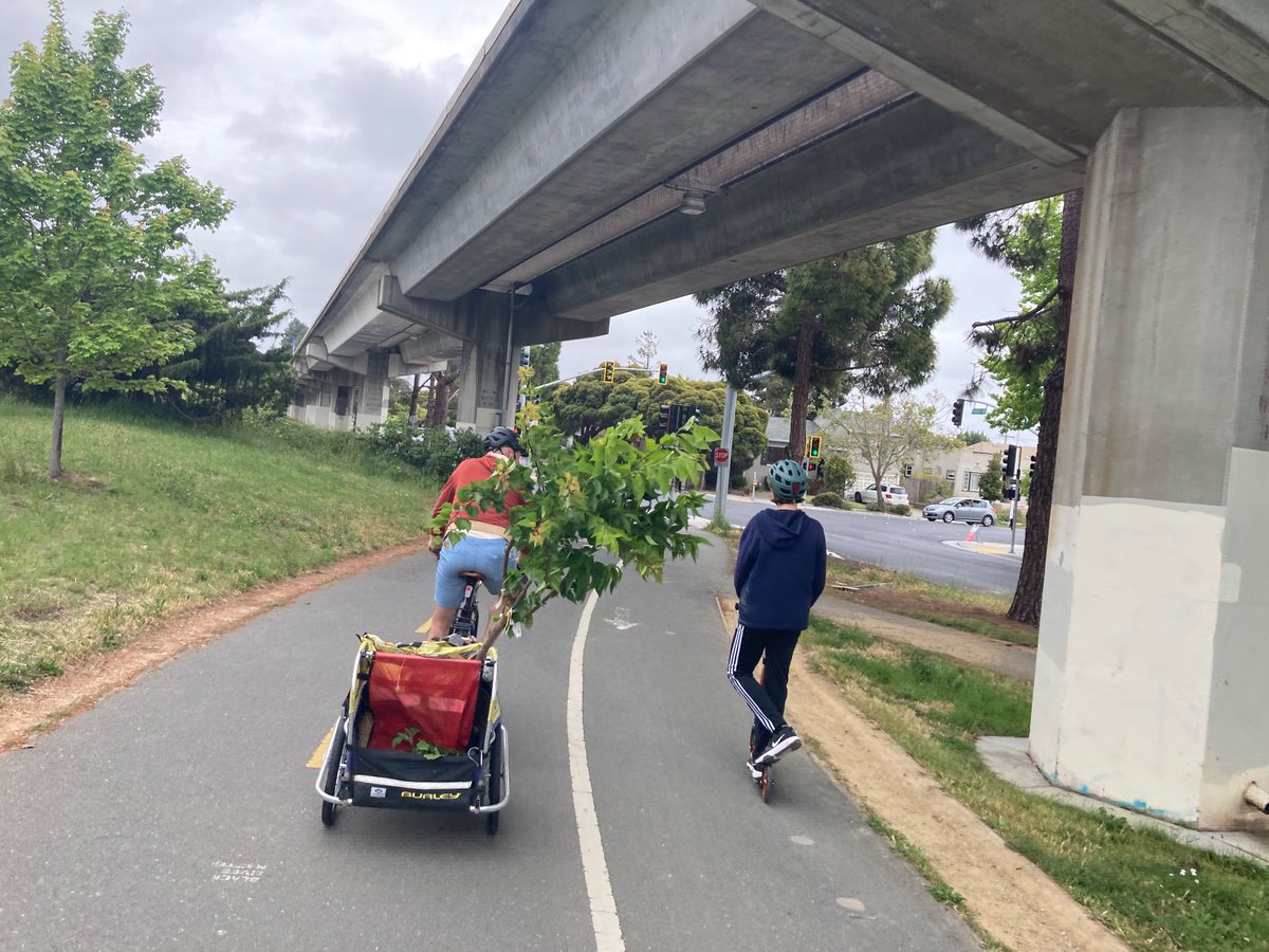 Had a great family day on our bikes/scooter today! Supported a local nursery and rode home with veggie plants for our summer garden, two bags of compost and a new stone fruit tree!