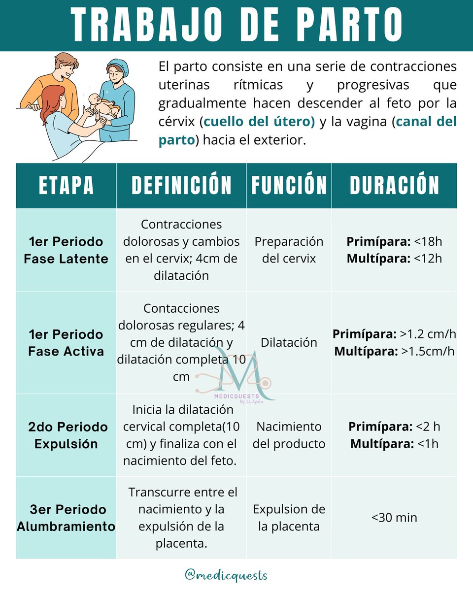 medicquests's tweet photo. El trabajo de parto es una serie de contracciones progresivas y continuas del útero
📌Para más contenido sígueme en @medicquests
#parto #partohumanizado #maternidade #partonormal #embarazo #o #gravidez #gestante #doula #obstetricia #partonatural #bebe #nascimento #baby https://t.co/cMDhiMqw2E
