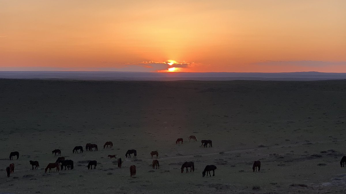 조남준 (@cnjoon) on Twitter photo 