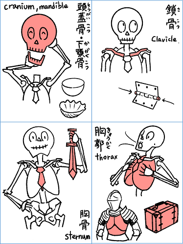 朝日カルチャーセンター立川のオンライン講座のご案内です。今回は、解剖用語の由来を読み解いて構造をイメージしやすくしていきます。7/13(木)と8/3(木)の18:00-19:30、リアタイできない場合は一週間のアーカイブ視聴もあります。ご縁がありましたらぜひ。 