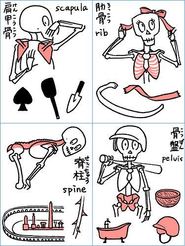 朝日カルチャーセンター立川のオンライン講座のご案内です。今回は、解剖用語の由来を読み解いて構造をイメージしやすくしていきます。7/13(木)と8/3(木)の18:00-19:30、リアタイできない場合は一週間のアーカイブ視聴もあります。ご縁がありましたらぜひ。 