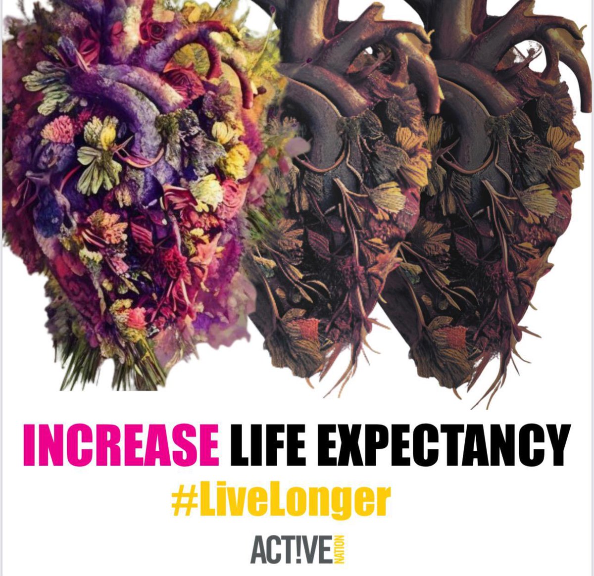 Increase Life Expectancy 

Get moving for a longer life!

Powered by #activenation - the Health and Well-Being Charity

bit.ly/3I435ej

#activenation  #ReduceMortalityRisk #Getmoving #Livelonger