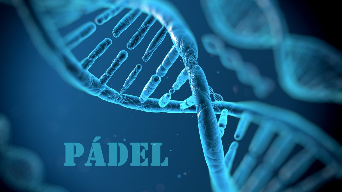 🧬🎾 Genética y Pádel: descifrando el puzzle del rendimiento deportivo: planetapadel.com/2023/05/geneti… // #pádel #geneticaydeporte #sportnomics #pádel #pádelgenetica #sportscience #rendimientopadel #padelprofesional #padelscience