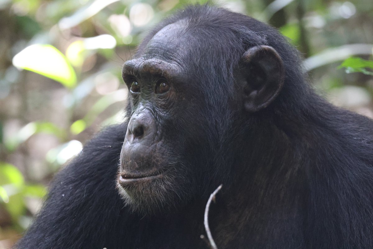 Tara Turkington tweet media