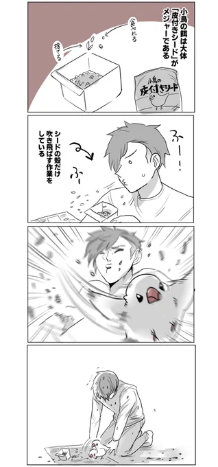 皮付きシード #文鳥