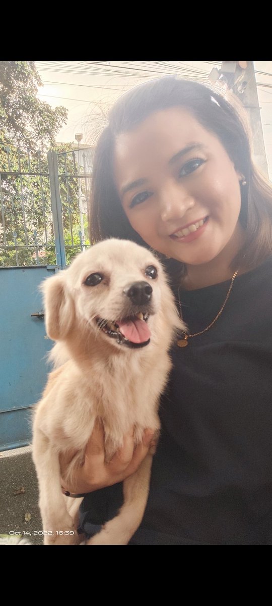 nikwekwek's tweet photo. My dog Fluffy passed away this afternoon. 

I came back from a weeklong trip and she was still alive when we went to pick them up. She was already weak. She waited for me to come back. Literally not 5 minutes after I held her, she was gone. 

We don't deserve dogs 😭 https://t.co/NIoyiG3LG4
