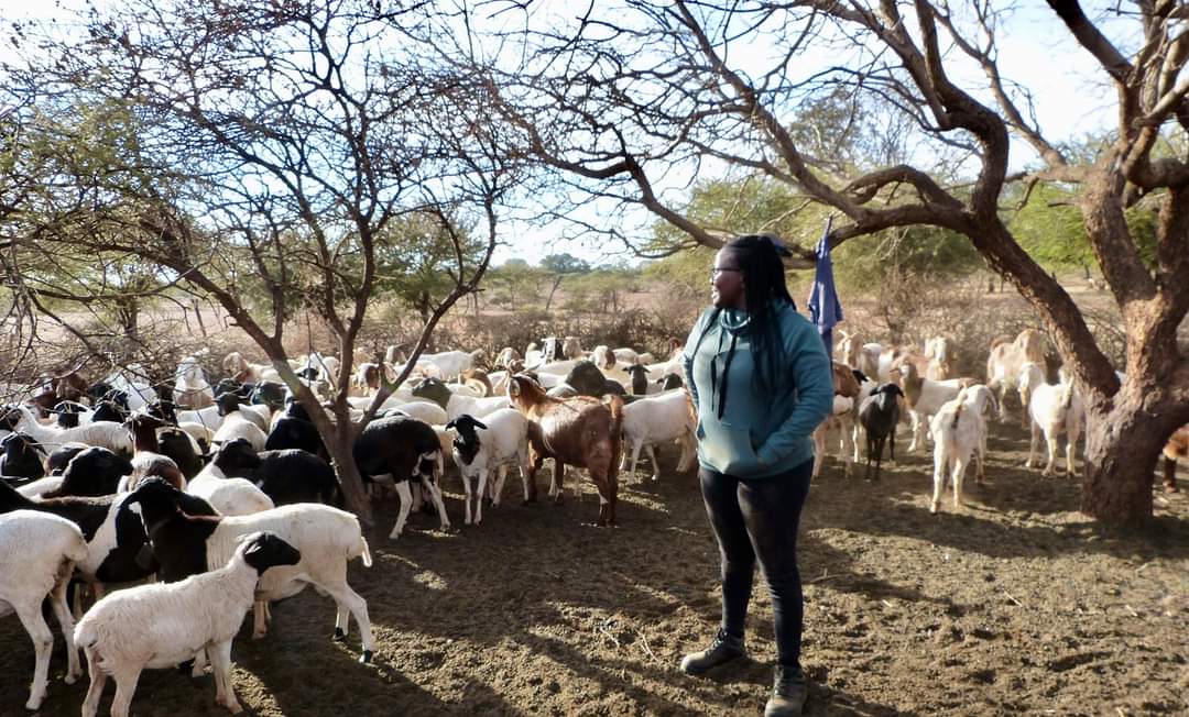 Hauweng💃🤩! Registration is still open, but few seats left😄
#KeaNcubeAgriServices
#GoatFarming
#GoatBreeders
#FemaleFarmers
#DrKWaDiPudi