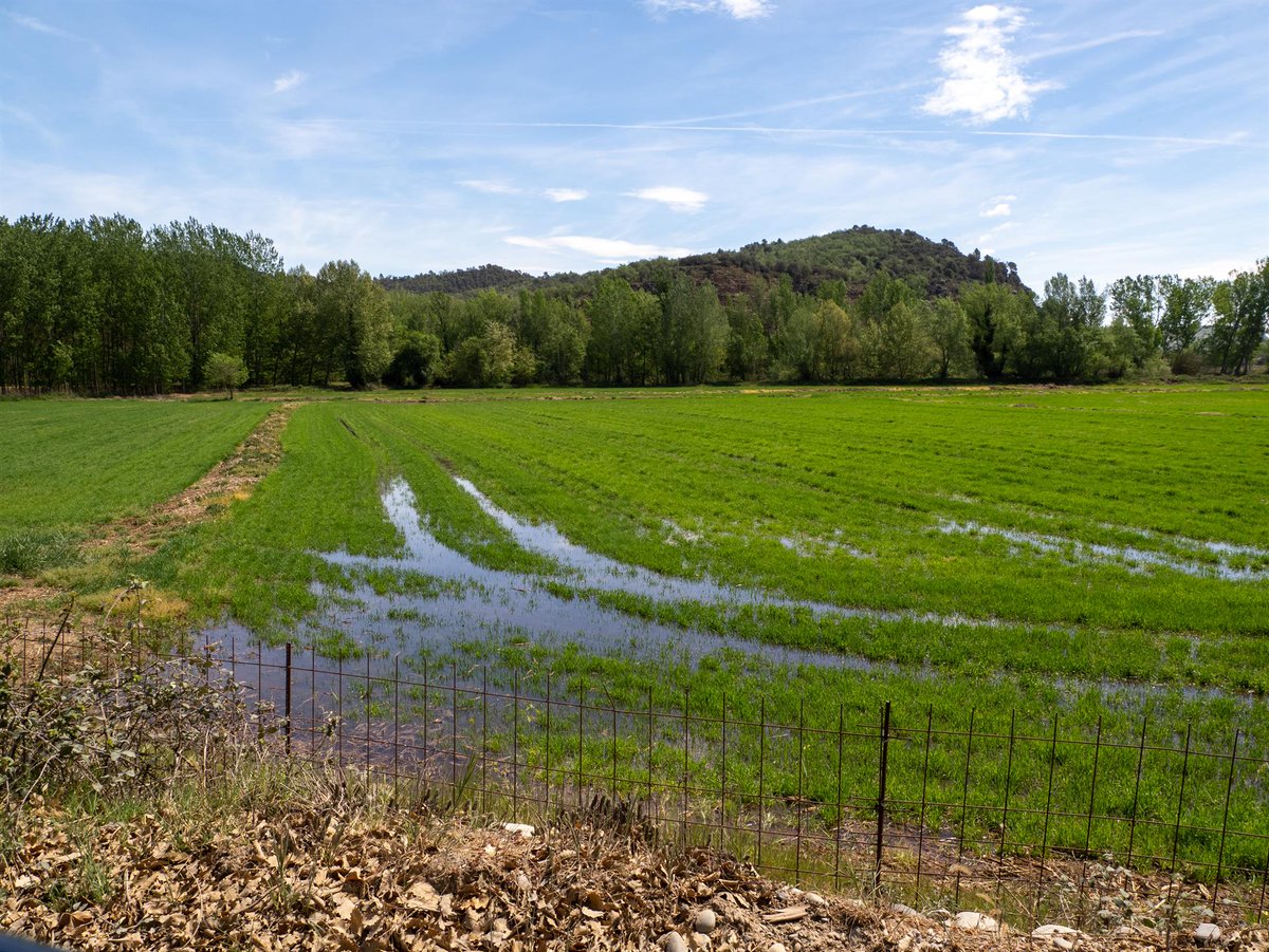 Efeagro's tweet photo. SEQUÍA | La adaptación de la agricultura española pasa por disminuir el consumo de agua en el regadío. 

Hablamos con expertos del @irtacat y del @midra_i para profundizar en esta cuestión. 

https://t.co/9nvPZ1K44T https://t.co/nVzcPijFNu
