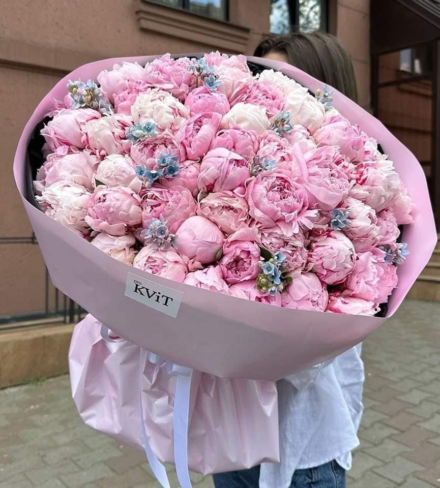 lavieestbelIe's tweet photo. https://t.co/CGxABjTm9g