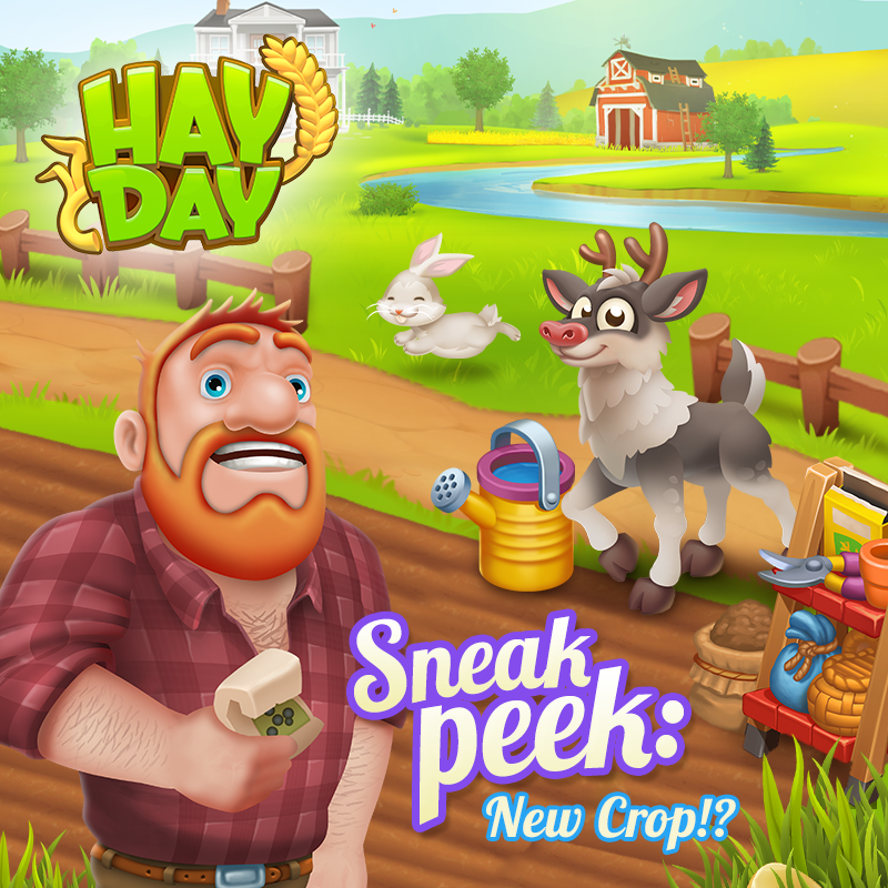 Hay Day tweet media