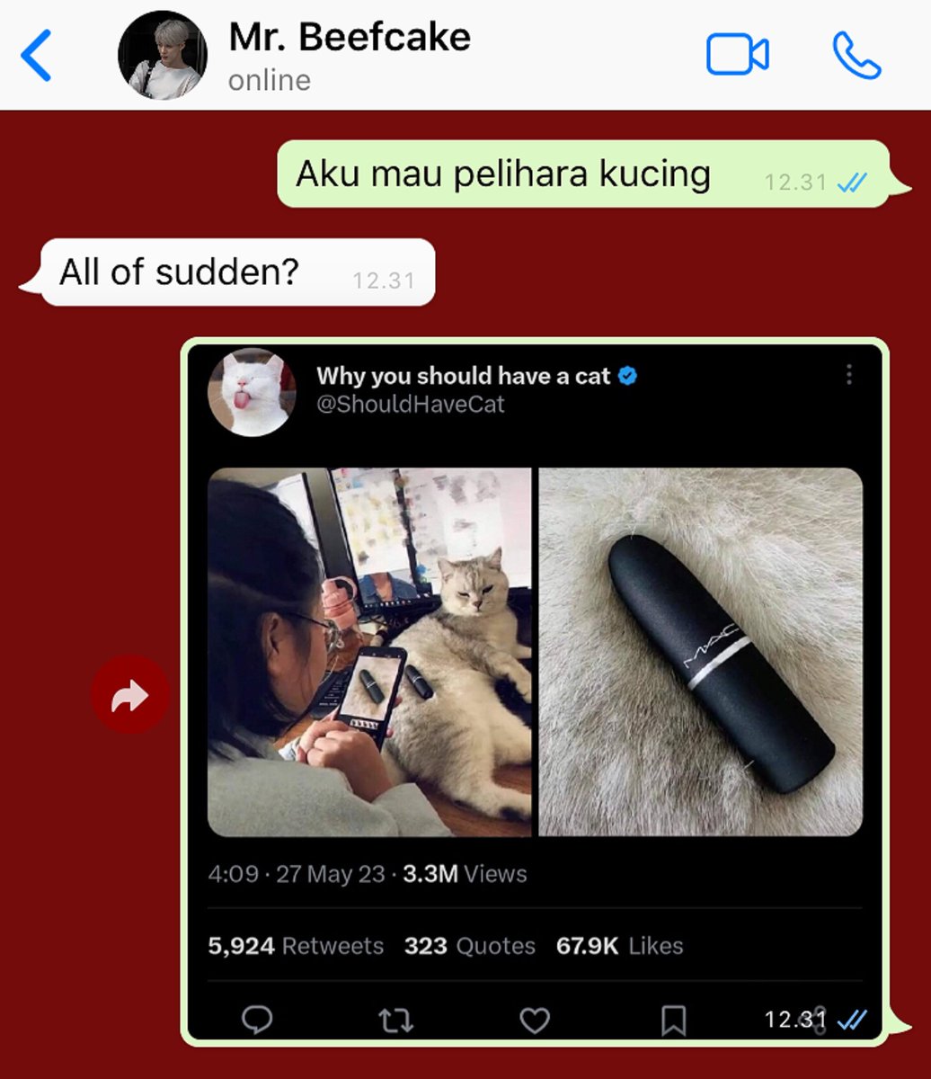 bithermine's tweet photo. Kucing
———
jeno few tweets au https://t.co/qtmOVUciMD