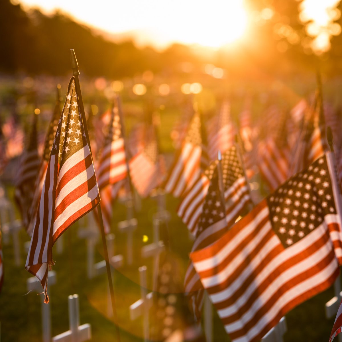 usdp's tweet photo. "Those who have long enjoyed such privileges as we enjoy forget in time that men have died to win them." –Franklin D. Roosevelt

Today, we honor the men &amp; women who have served &amp; sacrificed. May we never forget the courage they lived out to protect their country &amp; their families. https://t.co/qlsmUODs4D