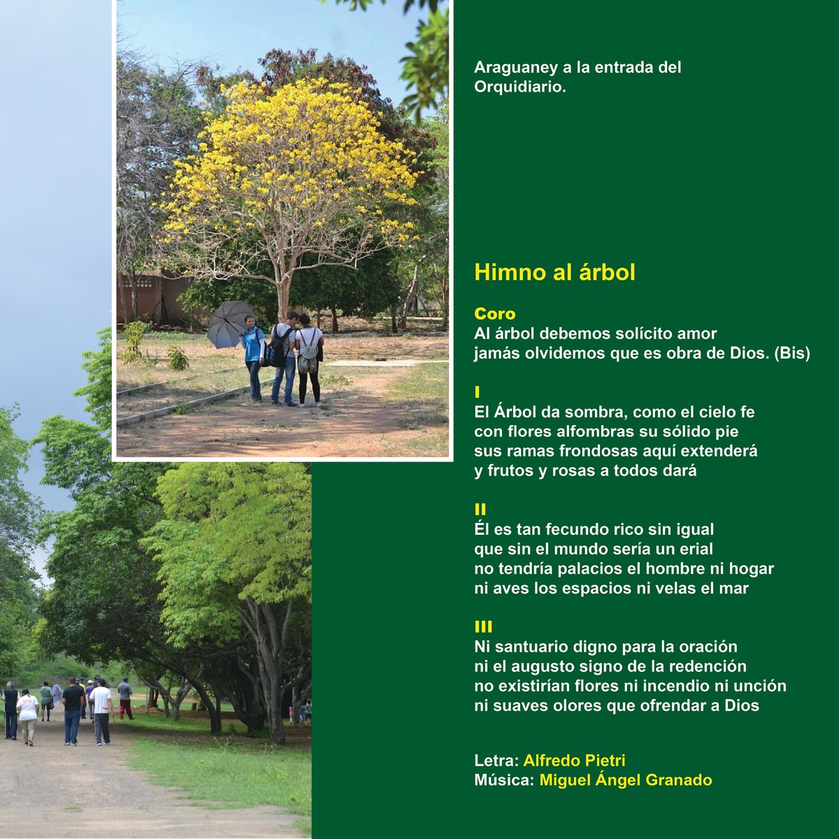 día del árbol