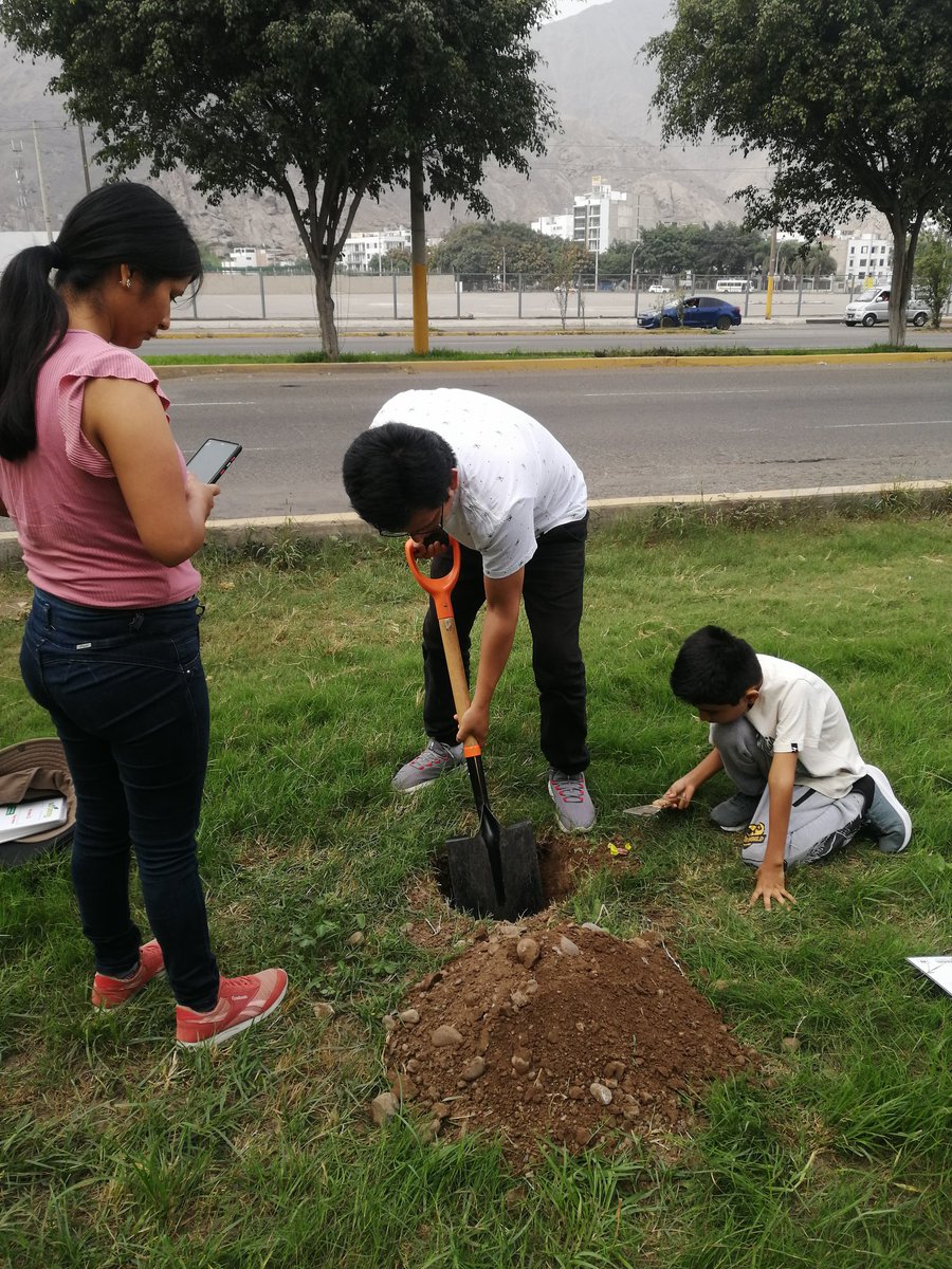 gogreen_peru's tweet photo. Gracias Jorge Garcia y familia por participar en la 3era campaña de arborización alrededor del 🏟MonumentalU

@UNALM_online
@Universitario @MinamPeru
@MuniLima 
@MinCulturaPe

#PlantaUnArbol #SiembraFuturo #GoGreenPeru #AdoptaUnArbol #EstadioMonumentalU https://t.co/YmvZkpq5zG