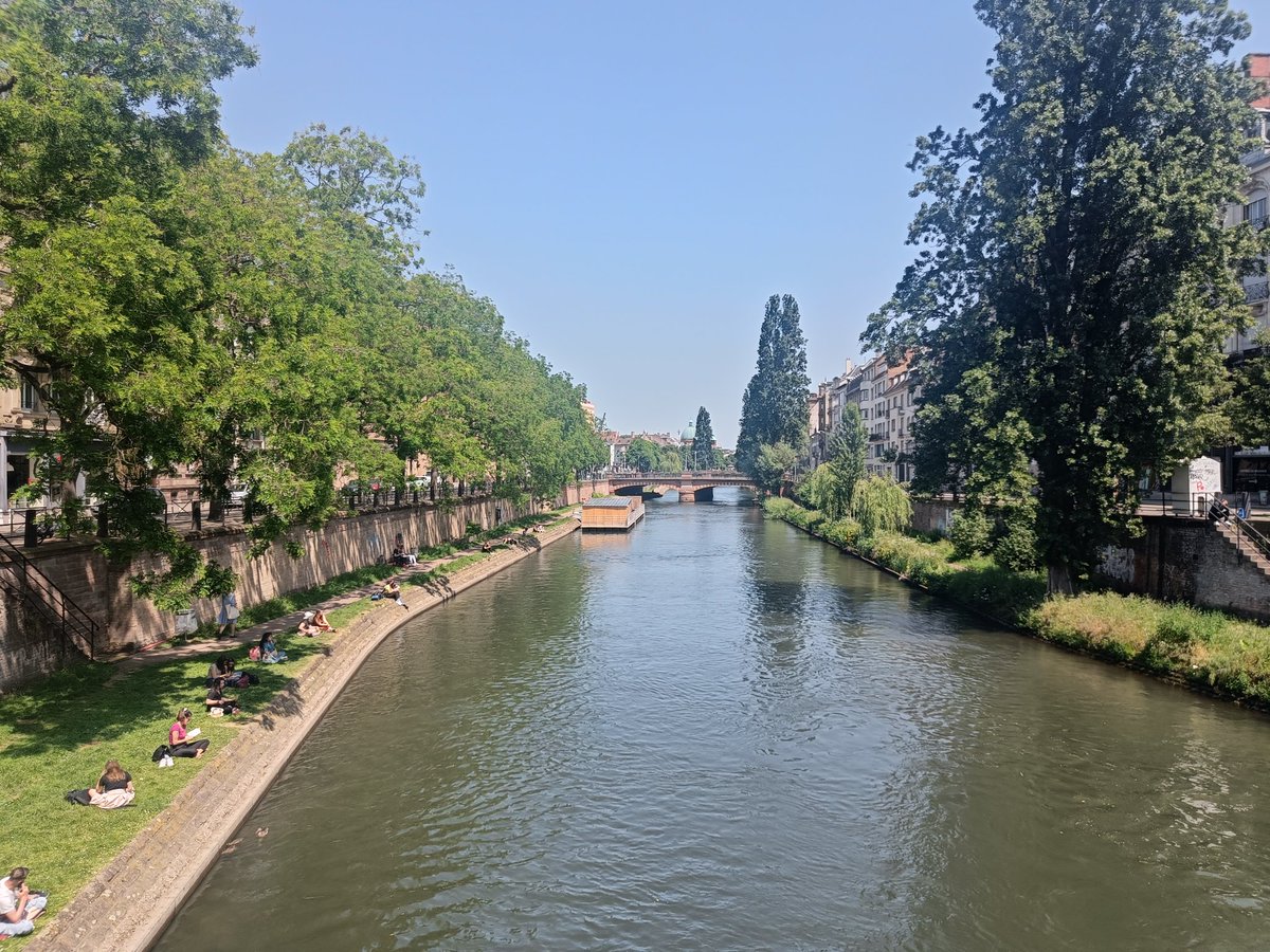 Matthew Naylor tweet media