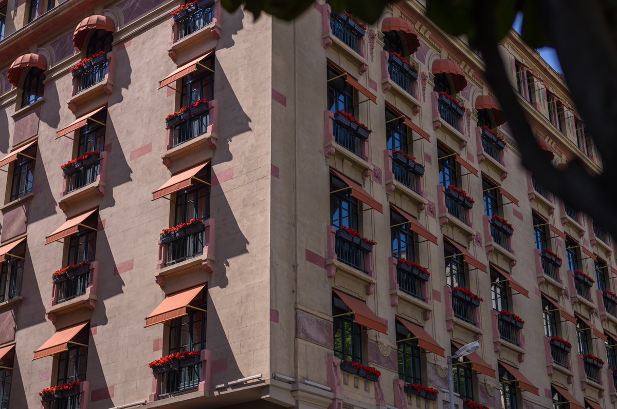 Fatih Arslan tweet media