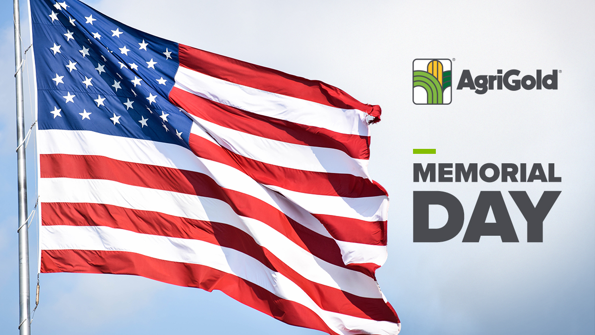 This Memorial Day we join the nation in paying tribute to the brave men &amp; women who made the ultimate sacrifice for our freedom. As we remember their valor, we also want to express our gratitude to all those who have served &amp; continue to serve.  #HonorAndRemember #SupportOurTroop