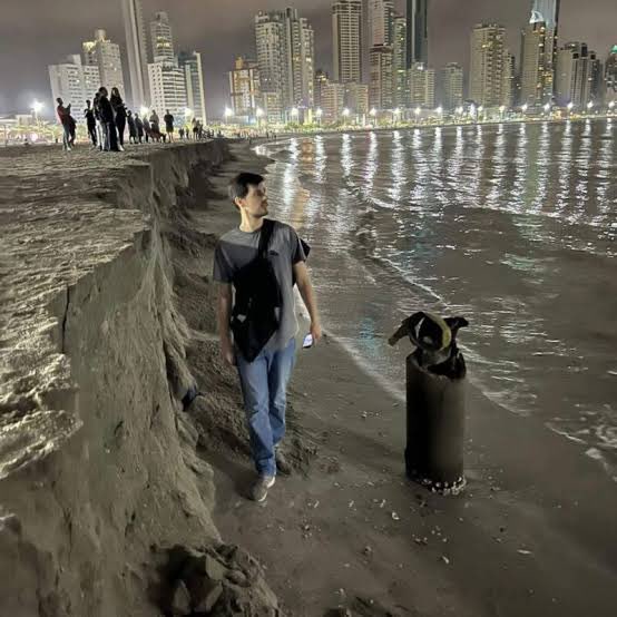 bicmuller's tweet image. KKKKKKKKKKKK achar que BC deu certo é dissonância cognitiva sim 
Bjs