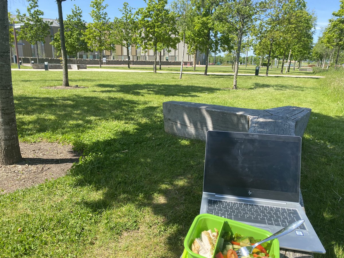 Half an hour between meetings to grab some lunch and catch a few emails doesn't get much better than this! ☀️🌳👩‍💻🥗
A blue sky day here
@invernesscampus! 

#learnlocal @ThinkUHI