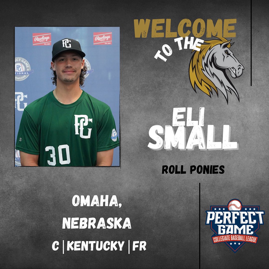 Saugerties Stallions tweet media