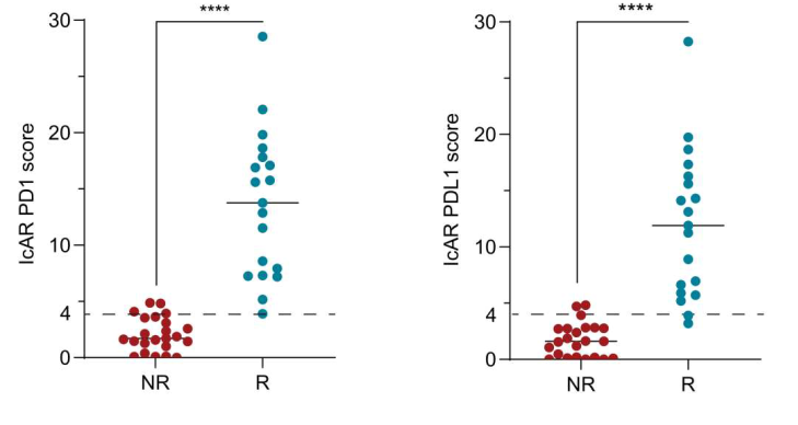 Moshe Elkabets - Elkabets lab tweet media