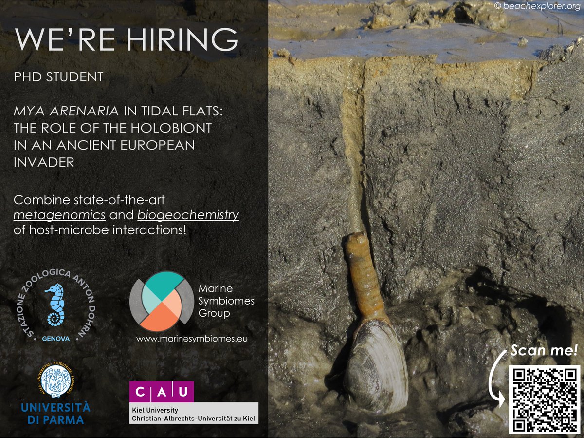 📢 Calling all aspiring researchers! 🌍 Join our groundbreaking #PhD project on #alienspecies and #microbiomes. 🐚 Explore the role of microorganisms in invasion dynamics and #ecosystem impacts. 🧬 Be part of an international collaboration. Apply now! #PhDopportunity #PhDposition