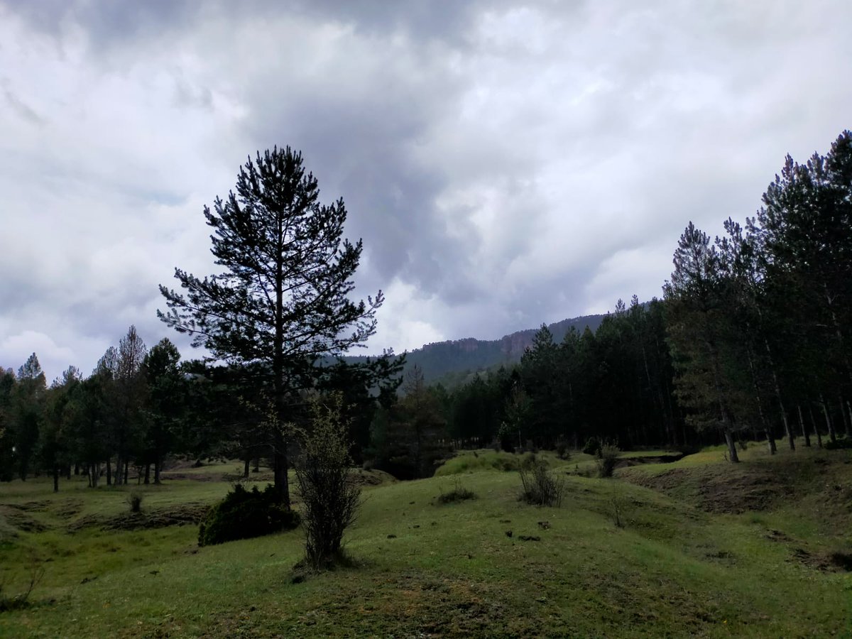 comcu's tweet image. XI Trofeo Serranía de Cuenca.
Valdemeca - 10 y 11 de junio