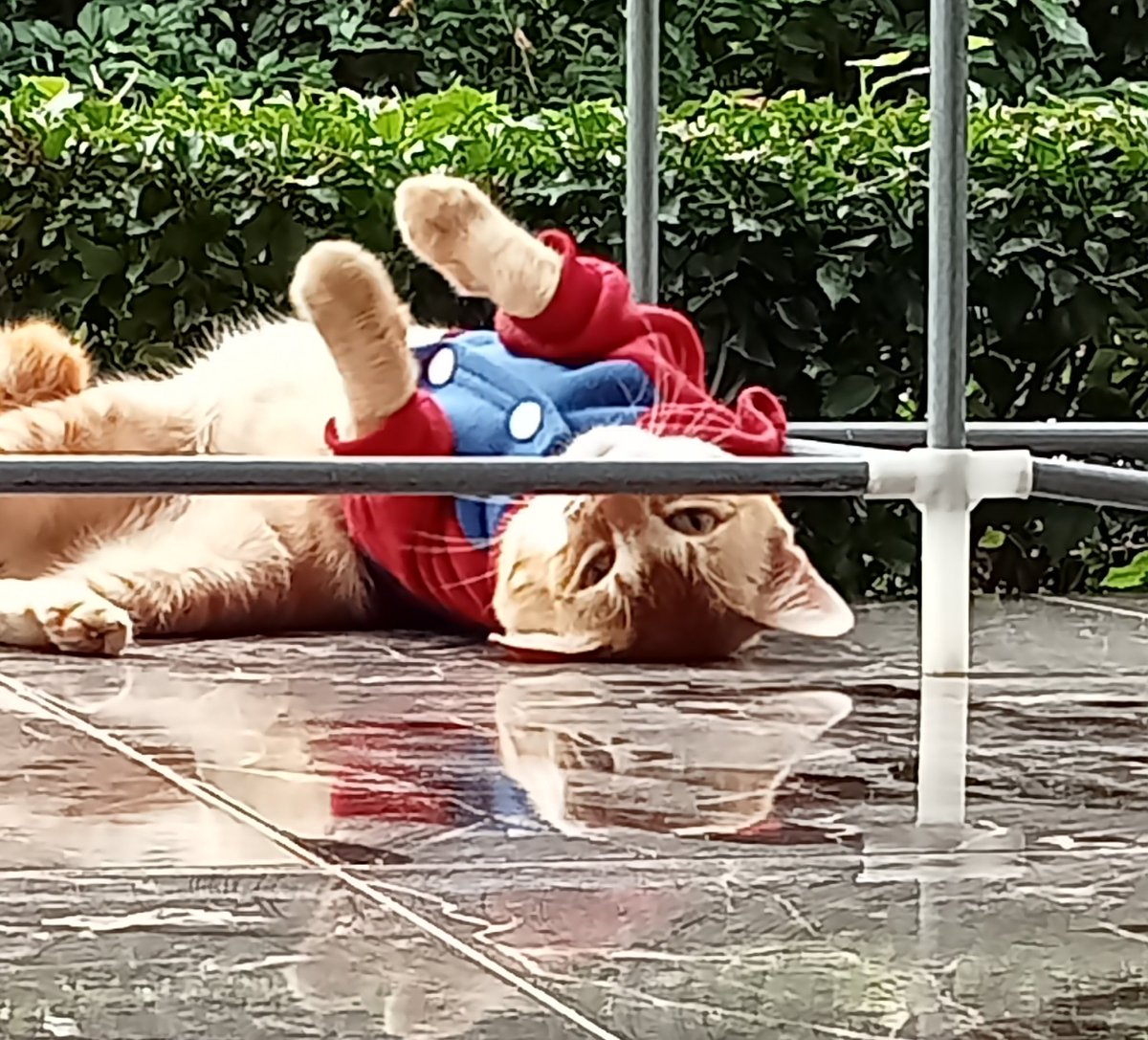 beliau ini sedang memikirkan apa