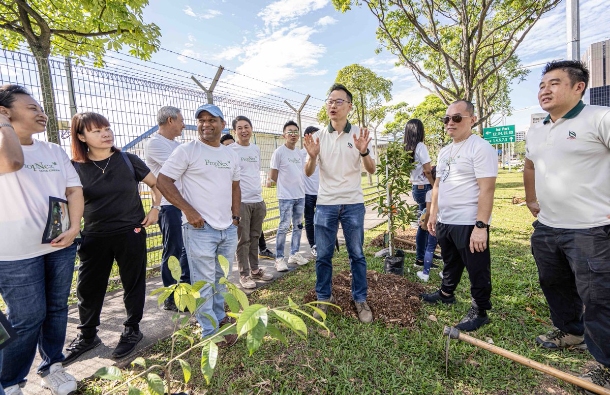 PropNexRealty's tweet photo. First 50 trees planted by PropNex. In a movement towards cutting carbon footprint, protecting the earth and for a greener environment, let’s play our part in recycling, reusing and reducing. 🌳🌲
#PropNexgoesGreen https://t.co/AqgxMfa1ky