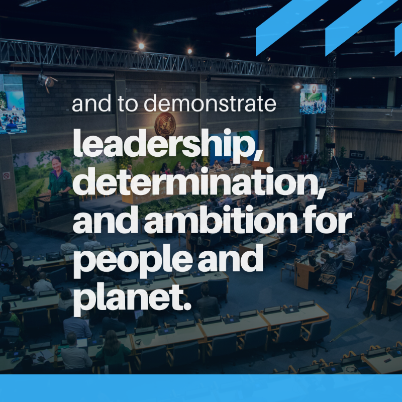 UNEP's tweet photo. Negotiators are gathering in Paris at the 2nd session of the Intergovernmental Negotiating Committee on Plastic Pollution (INC-2), discussing the way forward for a #PlasticsTreaty.

#PlasticsINC info: https://t.co/PRmhwM08zi