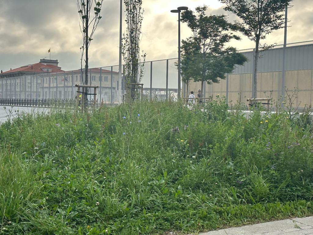 Santander Capital Natural tweet media