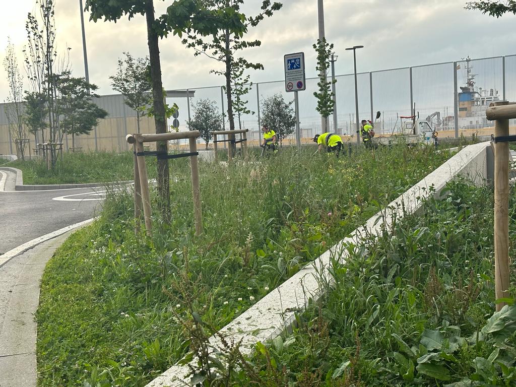 Santander Capital Natural tweet media