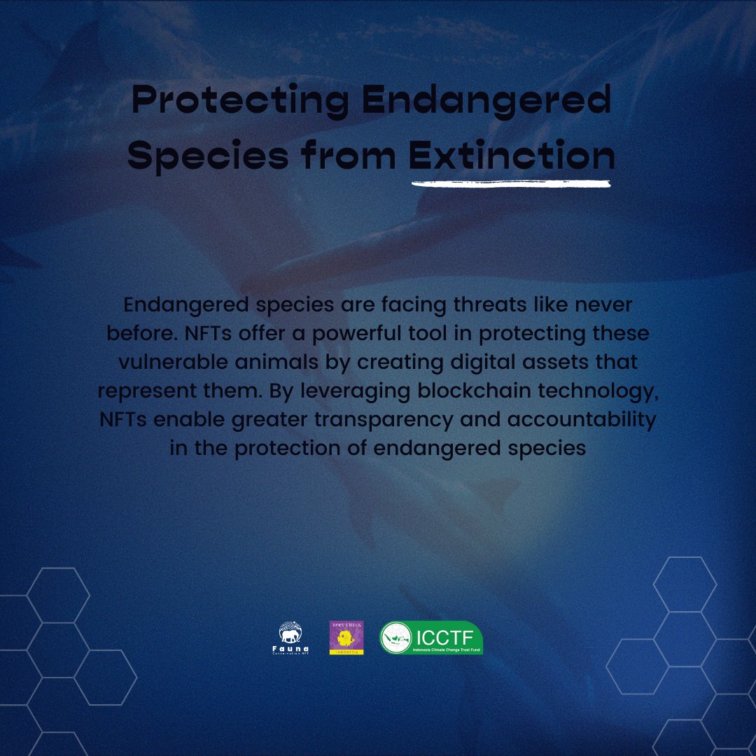Fauna Conservation NFT tweet media